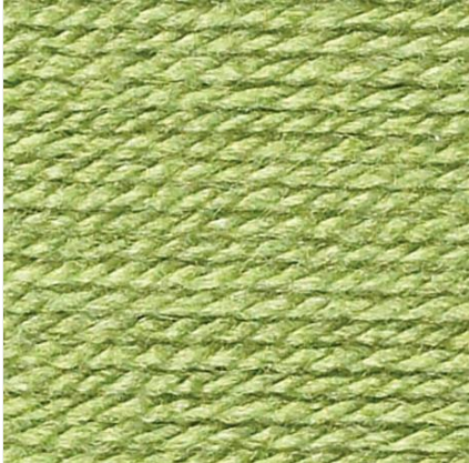 Stylecraft Special DK 1065 Meadow