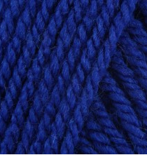 Stylecraft Special Aran 1117 Royal