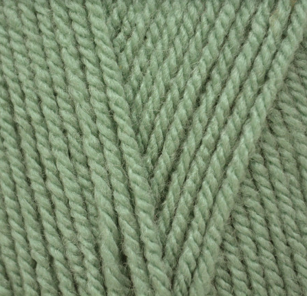 Stylecraft Special Chunky 1725 Sage